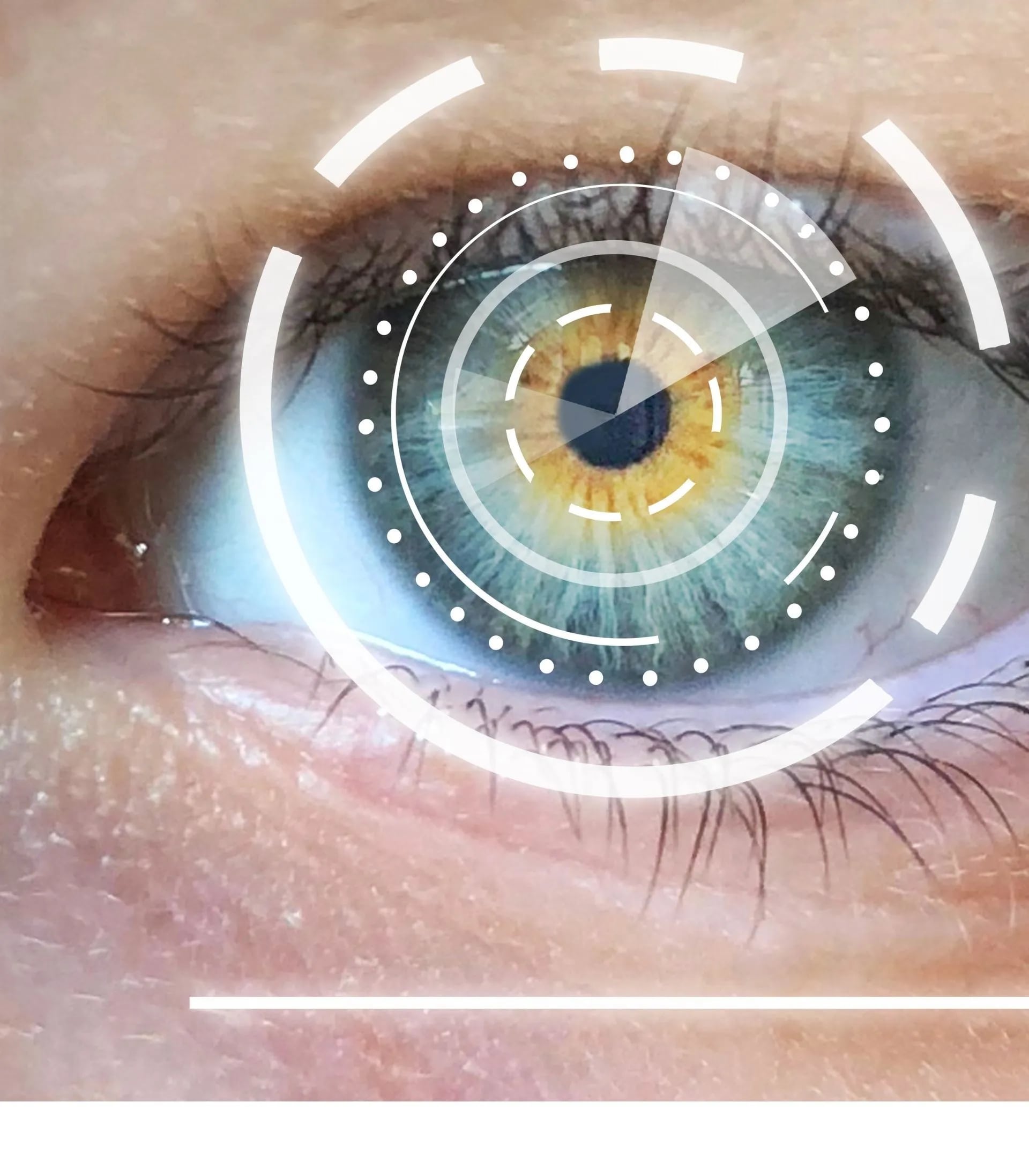 1766076542_SideImageMES2-1920w