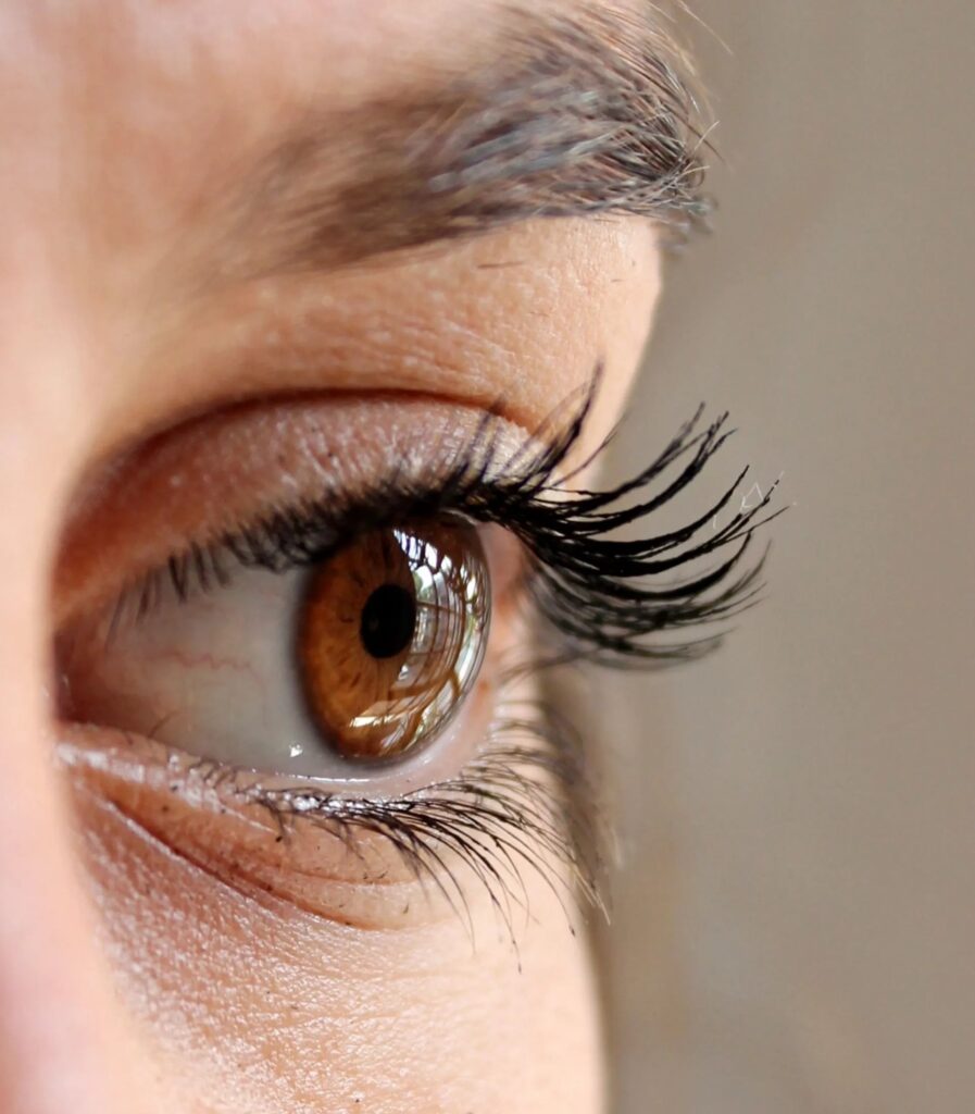 1766076557_SideImageMES6-1920w